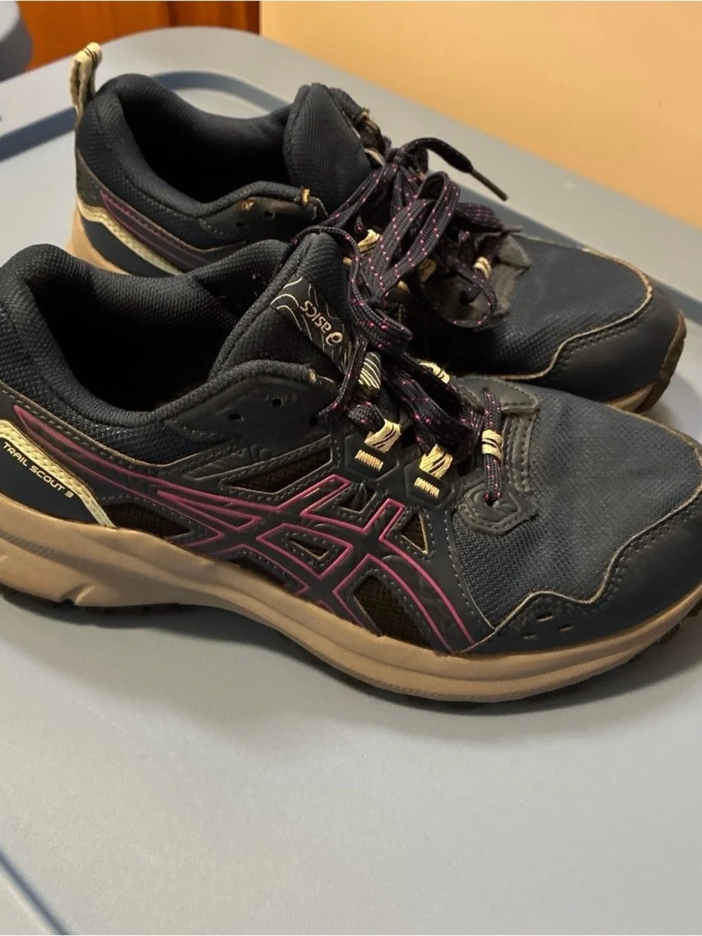 ASICS Women's Navy and Purple Running Shoes